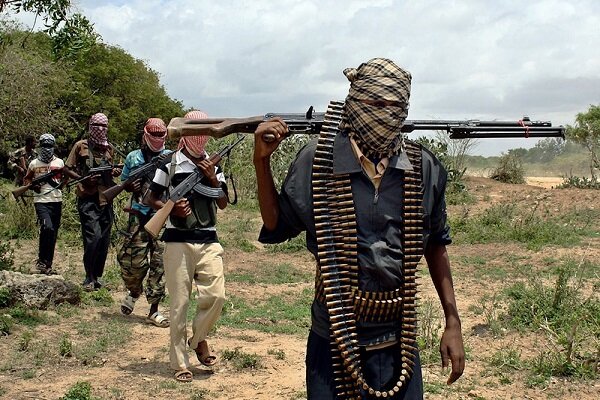 کشته شدن ۵۰ عضو گروه تروریستی الشباب سومالی