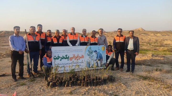 راهداران بوشهر ۳۷ هزار نهال در حاشیه راه های استان کاشتند راهداران بوشهر ۳۷ هزار نهال در حاشیه راه های استان کاشتند