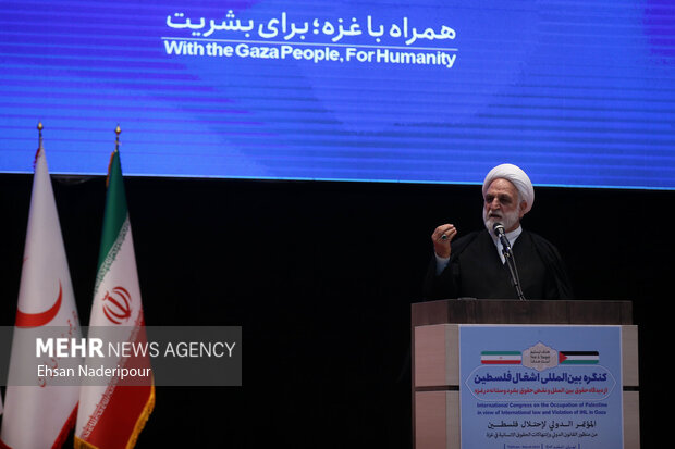 کنگره بین المللی اشغال فلسطین از دیدگاه حقوق بین الملل