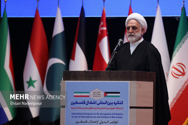 کنگره بین المللی اشغال فلسطین از دیدگاه حقوق بین الملل