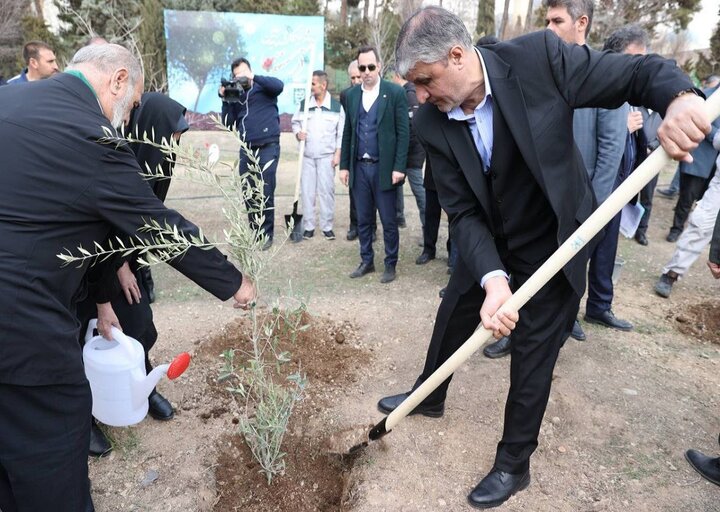 کاشت ۲۰۰ اصله نهال در سازمان انرژی اتمی ایران