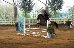 Gorgan hosts horse jumping competition