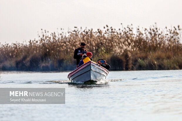 «تالاب شادگان» و آواز آب در آغوش نیزارهای ساحل بهار «تالاب شادگان» و آواز آب در آغوش نیزارهای ساحل بهار