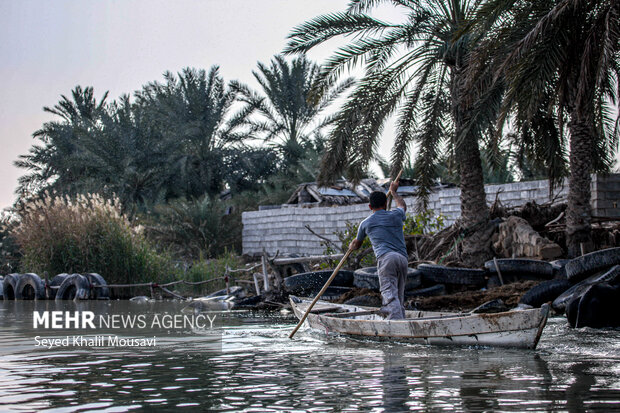 تالاب شادگان