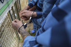 ۷۰ معتاد متجاهر طی یک ماه اخیر در ملارد جمع آوری شده است
