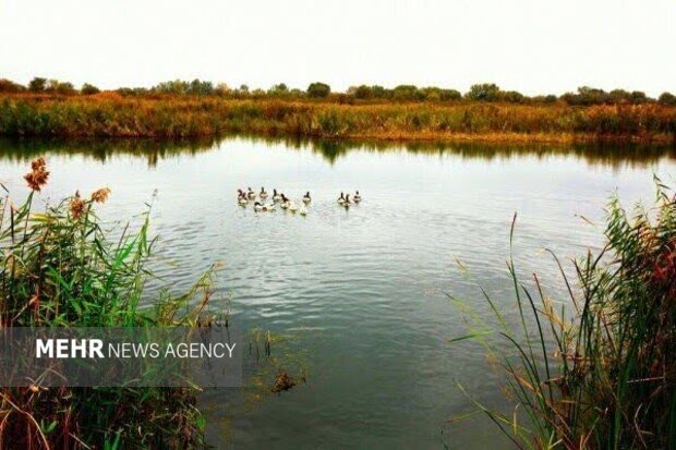 نوروزی خاطره انگیز با سفر به پارسآباد؛ بهشت گردشگری ایران