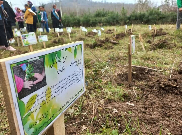 اجرای طرح مردمی «از بذر تا نهال» در آستارا