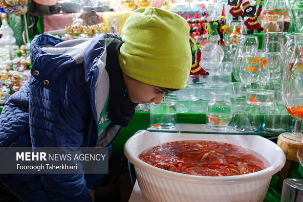 
Tehran markets before Nowruz