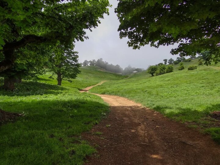 بسطام سیر روح آدمی بر روی ابرها/ اینجا مهد عرفان و تمدن است