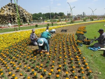 Flowering of Gonabad city on eve of spring