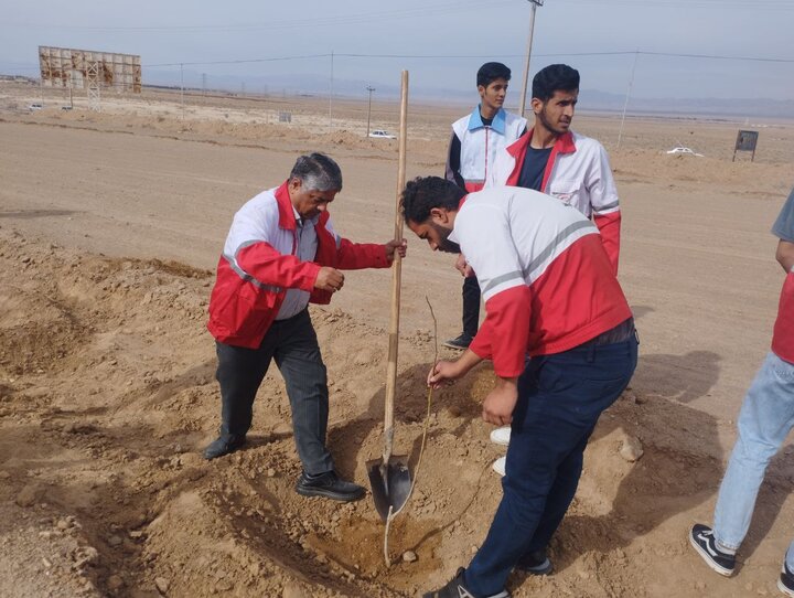 کاشت ۵۰۰ اصله نهال در مسیر گلزار شهدای گمنام شهرستان خواف