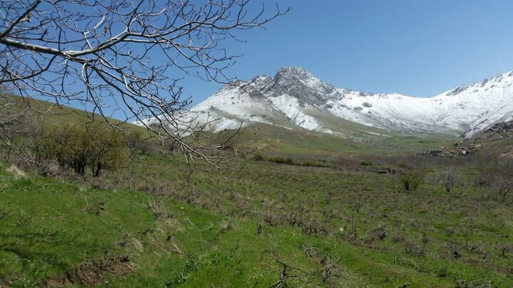«نطنز» باغشهری در میانه راه کاشان به اصفهان