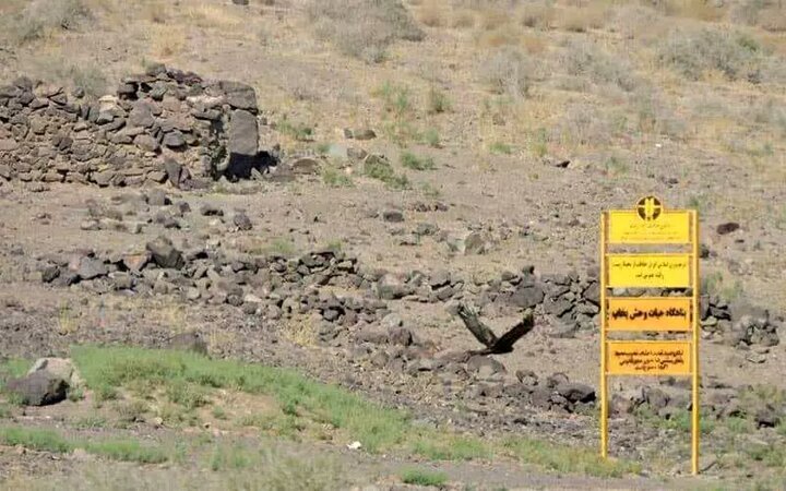 تجربه آرامشی وصفنشدنی با سفر به آران و بیدگل