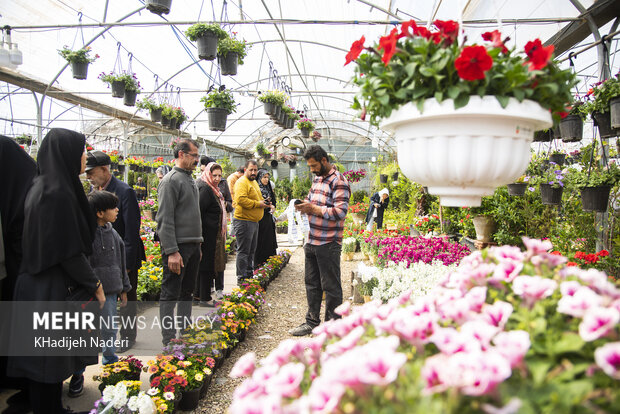 بازار گل و گیاه در آستانه عید نوروز اصفهان
