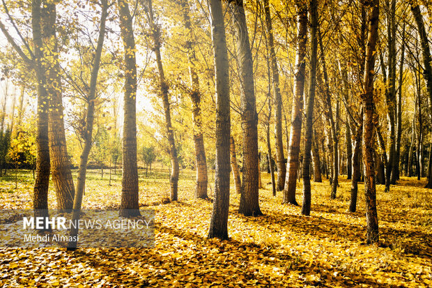 طبیعت پائیزی زنجان