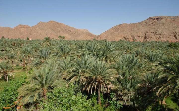 نمک سیاه را در کویر طبقه ببینید + عکس 7