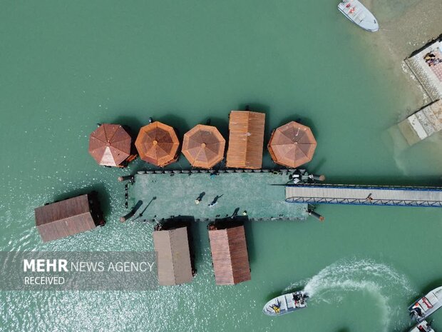 حَرّا، ریه سبز خلیج فارس و تکیهگاه زندگی در جزیره؛ ۵ هزار نهال غرس شد