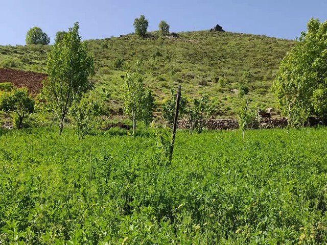 سفری به دنیای رویا در بانه/استقبال گردشگران نوروزی از مراکز تجاری