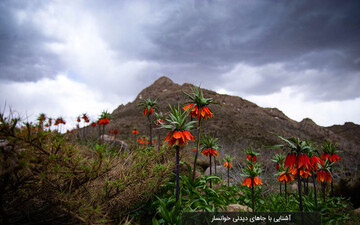 تلفیق زیبایی طبیعت و معماری در خوانسار/ دیار لاله‌های واژگون