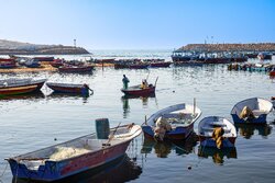 بسیاری از مدیران فقط شعار توسعه دریامحور می‌دهند