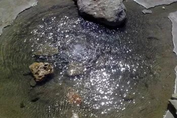 دنیای آبشارهای خودجوش فصلی کامیاران