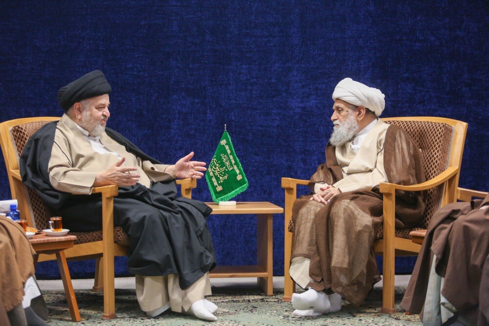 نماینده آیت الله سیستانی با آیت الله کریمی جهرمی دیدار کرد