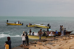 ۱۵۹ لنج و قایق در طرح‌های گردشگری دریایی بوشهر مجوز فعالیت دارند