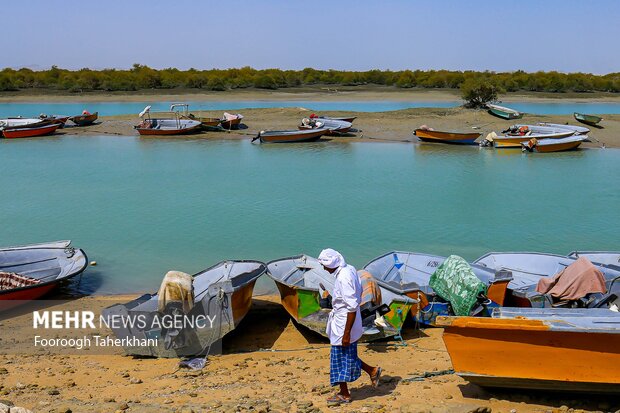 جنگا حرادر قشم.برای گردش در جنگل حرا زمانی که آب دریا بالاست، باید سوار قایق شد