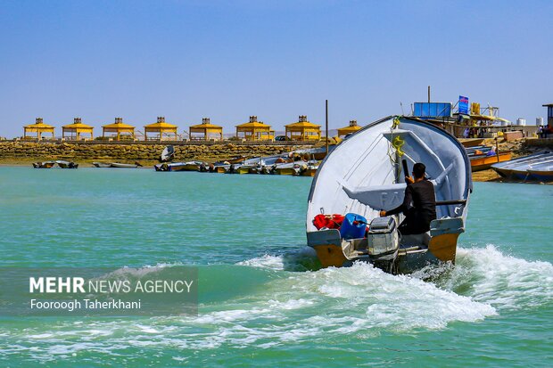 جنگا حرادر قشم.برای گردش در جنگل حرا زمانی که آب دریا بالاست، باید سوار قایق شد