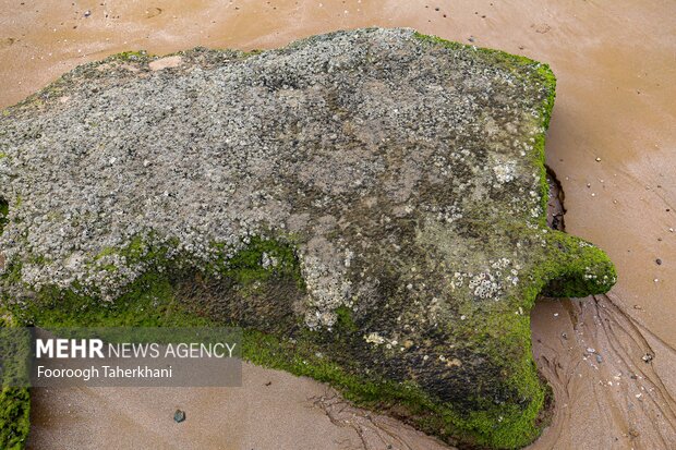 قشم،بزرگترین جزیره ایران