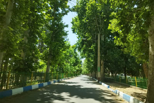 «قشلاق جلیل آباد» روستایی با درختان سربه فلک کشیده در پیشوا