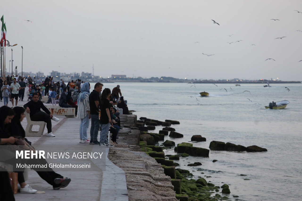 تجربه آبوهوای بهاری در فصل یخبندان؛ بوشهر قطب گردشگری زمستانی