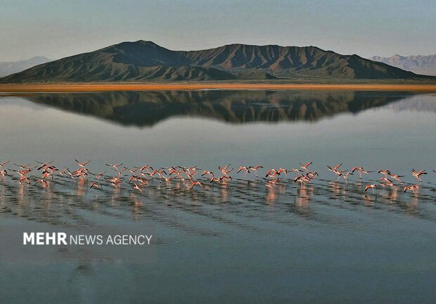 آخرین وضعیت تالاب گاوخونی؛ معادن «نمک» بر زخم بی‌آبی می‌پاشند