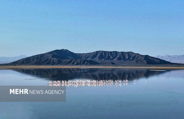 سند تالاب بینالمللی گاوخونی صادر شد