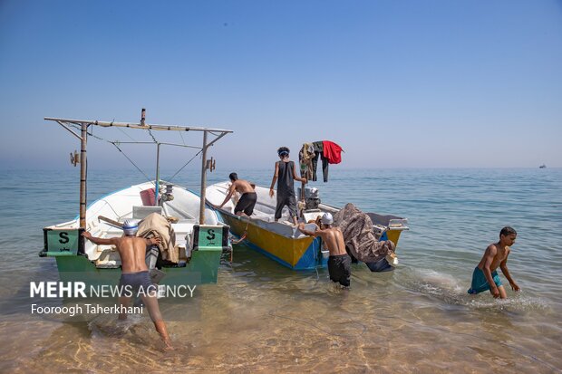 Hürmüz Adası