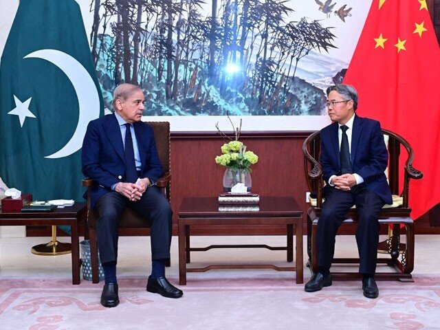 پاکستانی وزیراعظم کی چینی سفیر سے ملاقات،چینی باشندوں کی ہلاکت پراظہارتعزیت