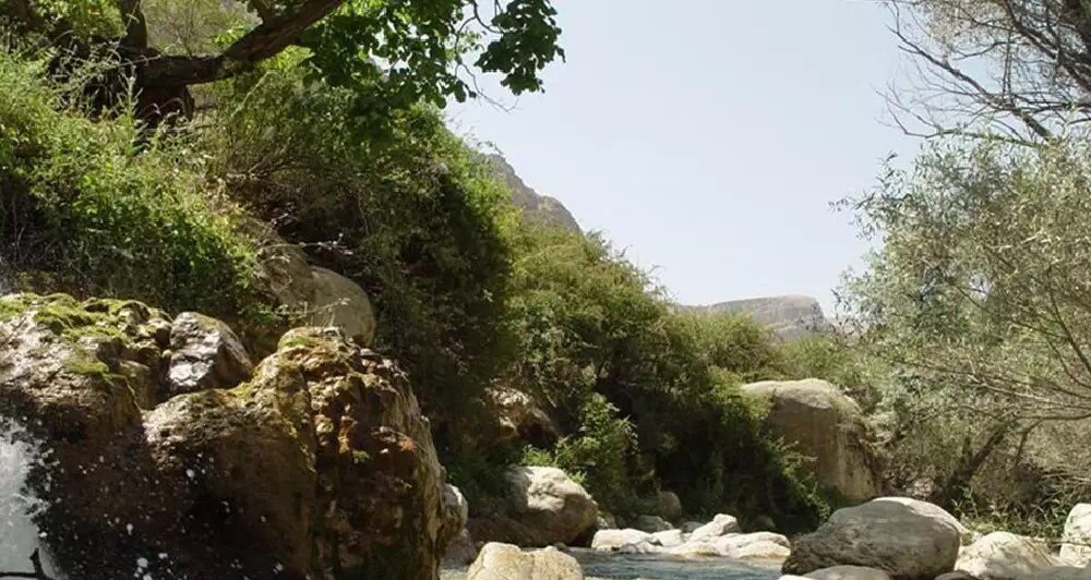 تلفیق روحنواز چشمهسارها و کوهها در فریدونشهر