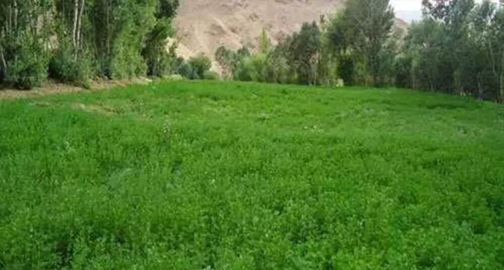 سمیرم شهر چشمههای جوشان و آبشارهای زیبا