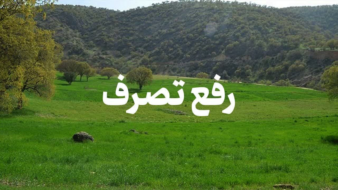 رفع تصرف ۱۱۰ هکتار اراضی ملی و منابع طبیعی در کردستان