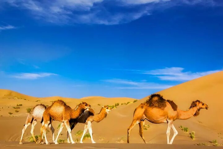 کویر ورزنه منظرهای زیبا برای تماشای تپههای شنی