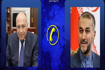 Iran, Egypt FMS confer on Gaza developments