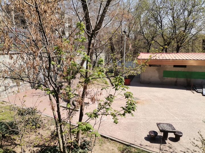 حصار پارک قیطریه برداشته شد حصار پارک قیطریه برداشته شد