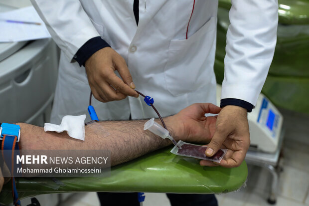 نذر اهدای خون در بوشهر