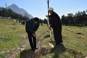 کاشت بیش از ۴۰۰۰ هزار اصله نهال در کرمانشاه طی روز طبیعت