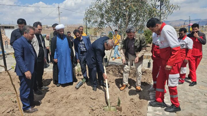 کاشت ٣٠ هزار اصله درخت در شهرستان زرند
