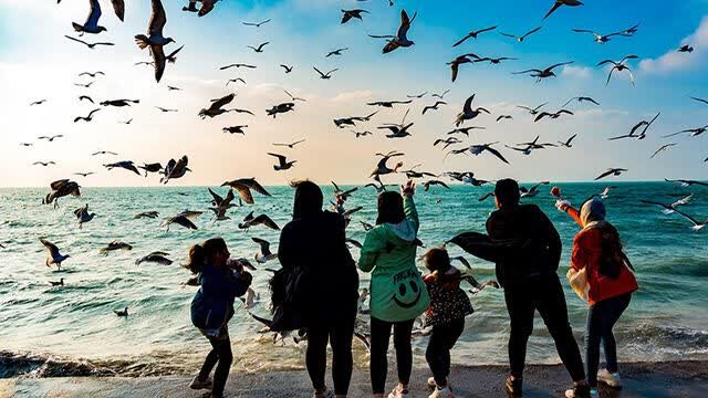 بندر بوشهر در دوران شکلگیری گردشگری/ فرصتها استفاده شود