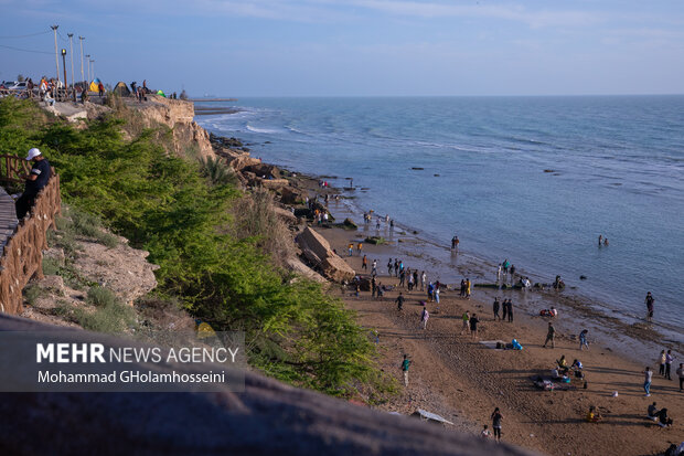 ساحل زیبا و تاریخی ریشهر