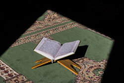 ۲۳ سال فعالیت قرآنی توسط بانوی کاشمری/ انس با قرآن مسیر زندگی انسان را مشخص می کند