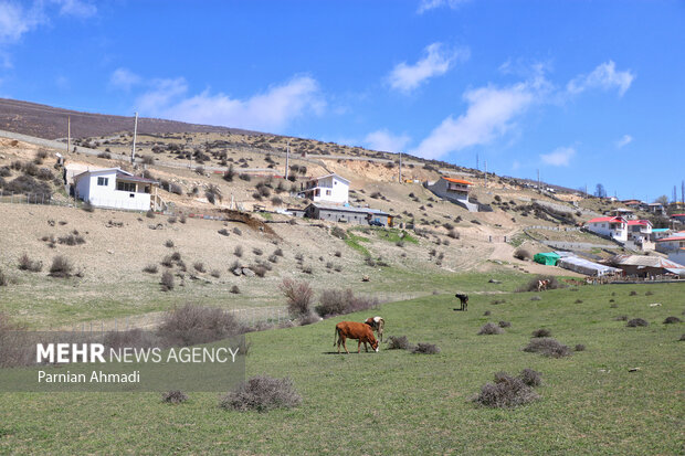 طبیعت بهاری روستای کدیر در مازندران