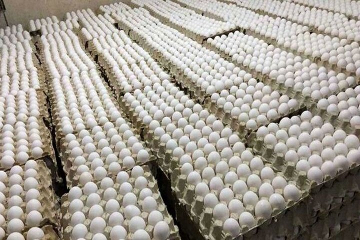 ۴۰۰ کارتن غیرمجاز تخم مرغ در مازندران کشف شد